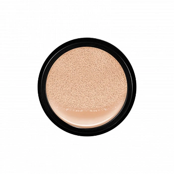 Основа кушон (сменный блок) 02 Cover-Pang Long Wear Cushion 01