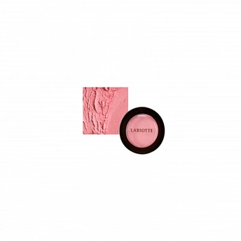 Румяна для сияния кожи оттенок PK01 Petal Affair Glow Blusher PK01 French Pink