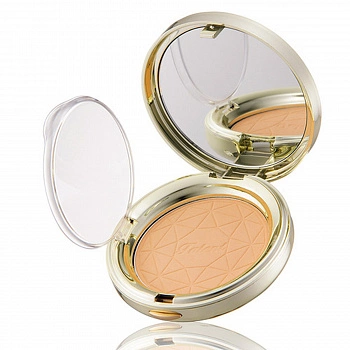 Пудра для лица с эффектом ВВ крема 21 BB Pact 21